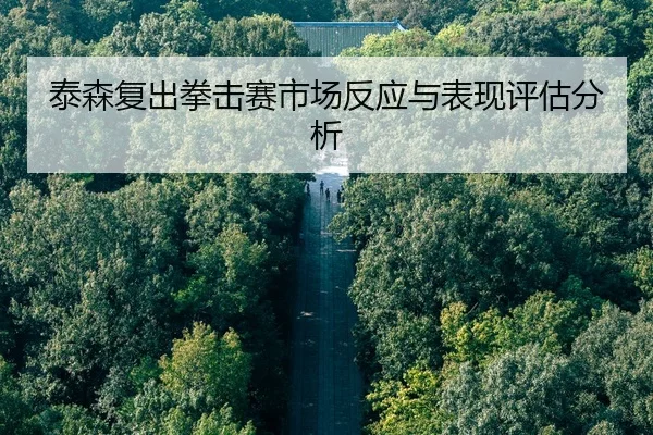tai-sen-fu-chu-quan-ji-sai-shi-chang-fan-ying-yu-biao-xian-ping-gu-fen-xi-2-467.jpg
