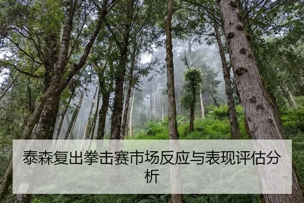 泰森复出拳击赛市场反应与表现评估分析