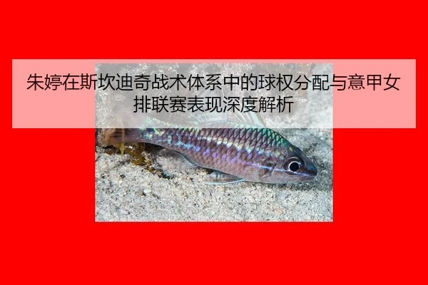 朱婷在斯坎迪奇战术体系中的球权分配与意甲女排联赛表现深度解析