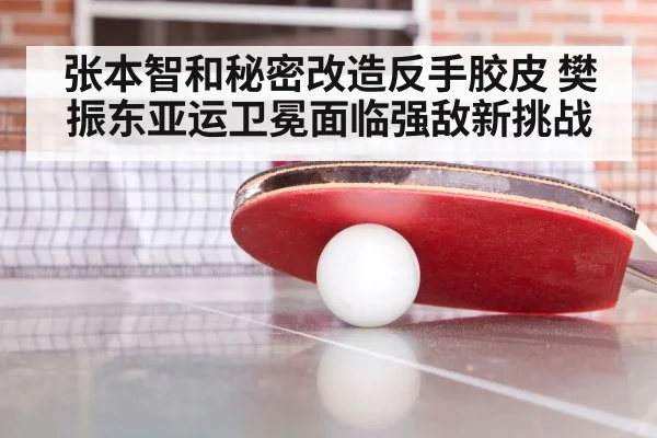 张本智和秘密改造反手胶皮 樊振东亚运卫冕面临强敌新挑战